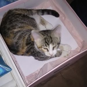 Meet your Posher, Denise